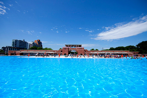 McCarren pool is now open!