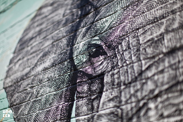 Alexis Diaz — detail