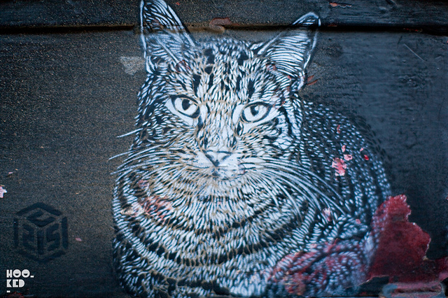 C215