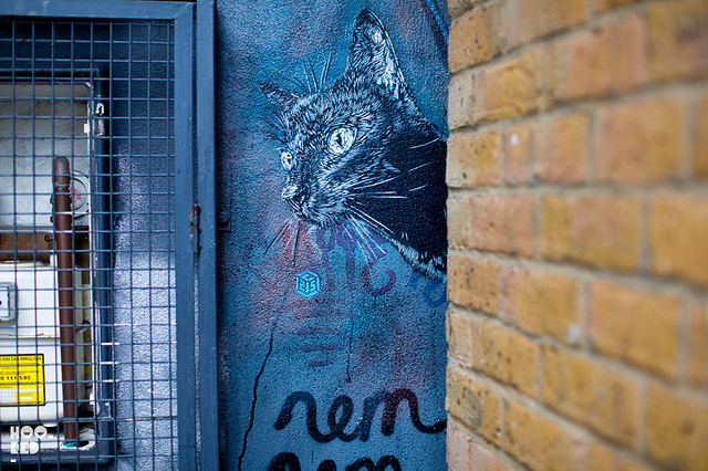 C215